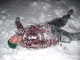 The Aftermath