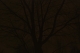 Night Photography (1 of 11)