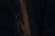 Night Photography (6 of 11)