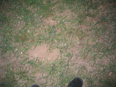 Gopher Hill