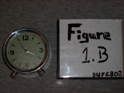 FIGURE 1.B FIGURE 1.B