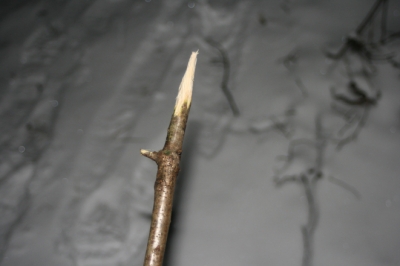 Fashioning of the spear