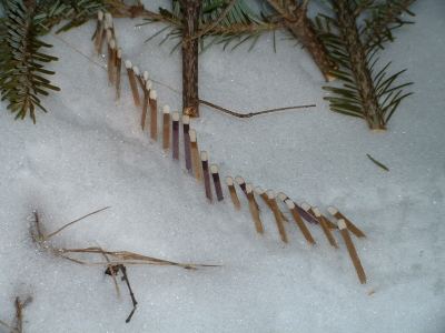 Calm Before The Storm