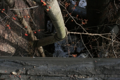 Again, from the top!