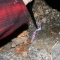 smash watch 060.jpg