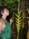 Interaction with plants