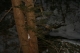 The brook