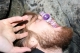 And leaps onto Frostbeard's face