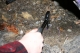 smash watch 065.jpg
