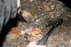 smash watch 068.jpg