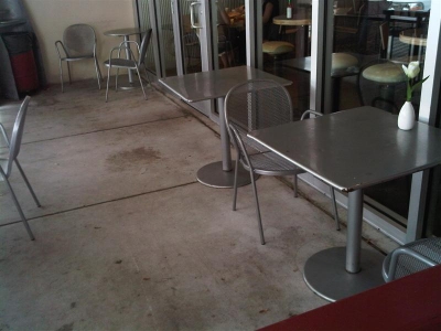 The plant (at Chipotle)
