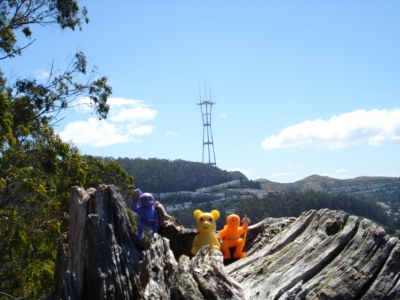 "Sutro Tower w/Bear & Ninjas"