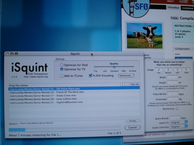iSquint & My Proof Page, Moo