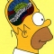 HomerBrainScramble.jpg HomerBrainScramble.jpg