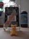 YellowBear - My Standard Photo