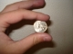 DSC00382.jpg