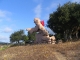 You could even see it from the freeway! You could even see it from the freeway!