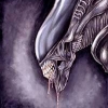 Xenomorph