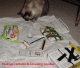 package contents.gif