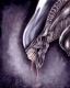 Xenomorph