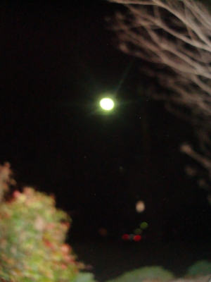 DSC03792.JPG1 DSC03792.JPG1