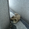 DSC01655.JPG