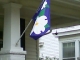 Flower flag