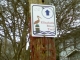 Go this way!