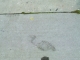 Footprint