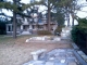 03-10-08_1919.jpg