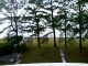 03-16-08_1650.jpg