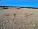 100_0195.JPG