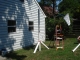 DSC01520.JPG