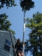 DSC01526.JPG