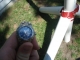 DSC01536.JPG