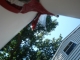DSC01544.JPG