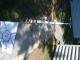 DSC01568.JPG