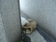 DSC01655.JPG