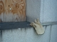 DSC01659.JPG