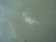DSC01736.JPG