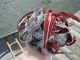 DSC01757.JPG