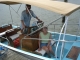 DSC01761.JPG