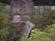 DSC03726.JPG
