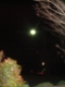 DSC03792.JPG1