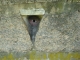 DSC05513.JPG