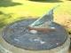 DSC05525.JPG