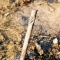 Pipe