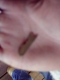 the key...