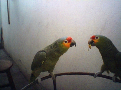 Eating