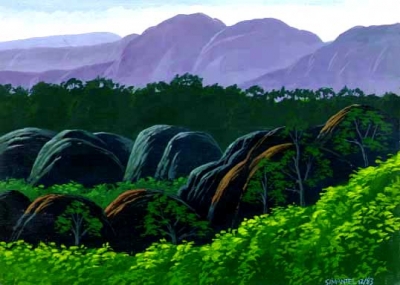 rainforest.jpg